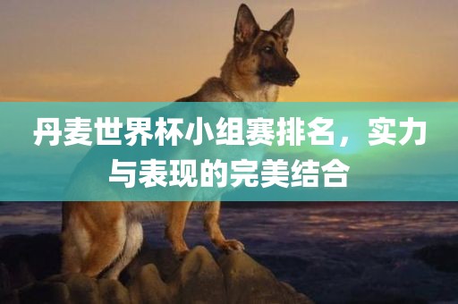 丹麦世界杯小组赛排名，实力与表现的完美结合吉安市靖泰电力工程有限公司