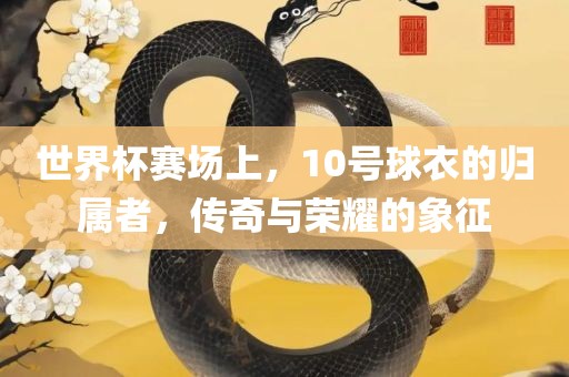 世界杯赛场上，10号球衣的归属者，传奇与荣耀的象征