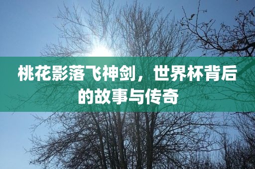 桃花影落飞神剑，世界杯背后的故事与传奇