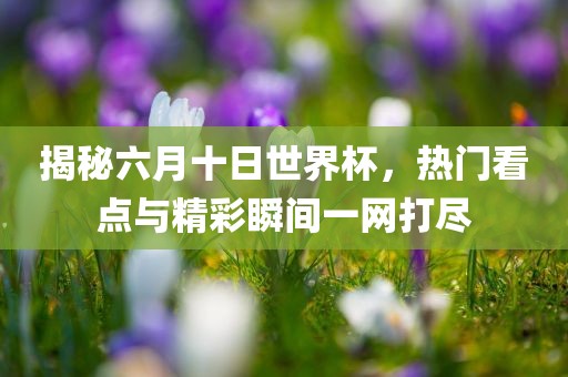 揭秘六月十日世界杯，热门看点与精彩瞬间一网打尽