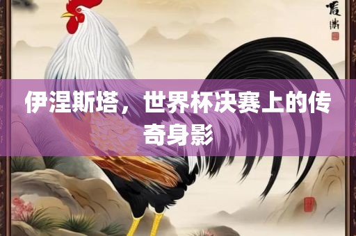 伊涅斯塔，世界杯决赛上的传奇身影