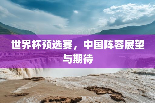世界杯预选赛，中国阵容展望与期待
