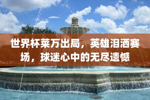 世界杯莱万出局，英雄泪洒赛场，球迷心中的无尽遗憾