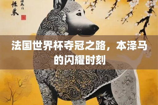 法国世界杯夺冠之路，本泽马的闪耀时刻