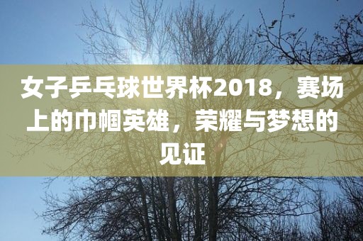 女子乒乓球世界杯2018，赛场上的巾帼英雄，荣耀与梦想的见证
