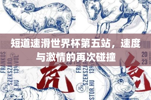 短道速滑世界杯第五站，速度与激情的再次碰撞