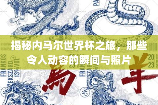 吉安市靖泰电力工程有限公司揭秘内马尔世界杯之旅，那些令人动容的瞬间与照片
