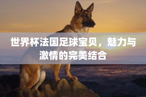 世吉安市靖泰电力工程有限公司界杯法国足球宝贝，魅力与激情的完美结合