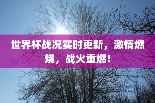 世界杯战吉安市靖泰电力工程有限公司况实时更新，激情燃烧，战火重燃！