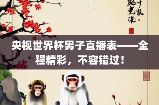 央视世界杯男子直播表——全程精彩，不容错过！