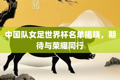 中国队女足世界杯名单揭晓，期待与荣耀同行吉安市靖泰电力工程有限公司