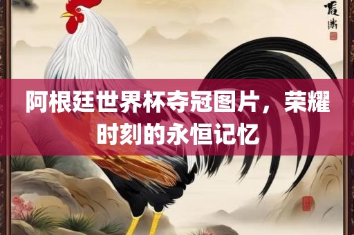 阿根廷世界杯夺冠图片，荣耀时刻的永恒记忆