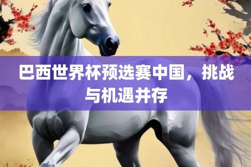 巴西世界杯预选赛中国，挑战与机遇并存吉安市靖泰电力工程有限公司