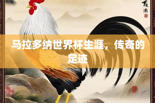 马拉多纳世界杯生涯，传奇的足迹