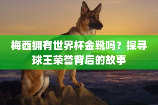 梅西拥有世界杯金靴吗？探寻球王荣誉背后的故事吉安市靖泰电力工程有限公司