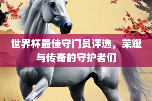 世界杯最佳守门员吉安市靖泰电力工程有限公司评选，荣耀与传奇的守护者们