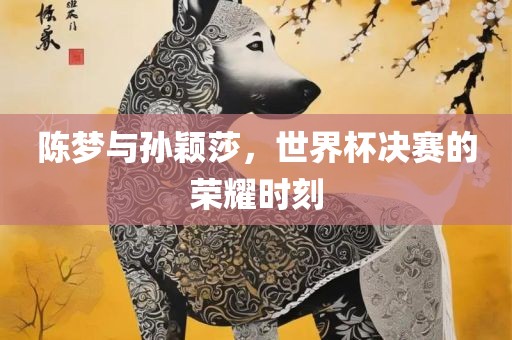 陈梦与孙颖莎，世界杯决赛的荣耀时刻吉安市靖泰电力工程有限公司