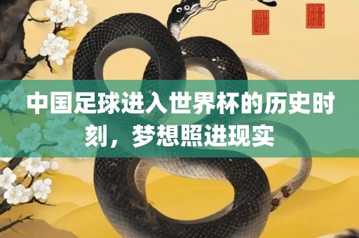 中国足球进入世界杯的历史时刻，梦想照进现实吉安市靖泰电力工程有限公司