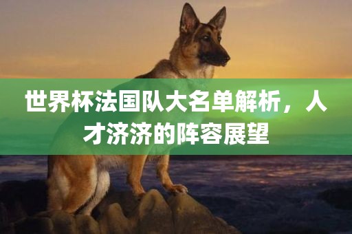 世界杯法国队大名单解析，人才济济的阵容展望吉安市靖泰电力工程有限公司