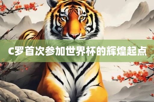 C罗首次参加世界杯的辉煌起点吉安市靖泰电力工程有限公司