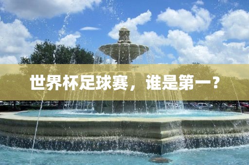 世界杯足球赛