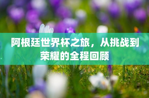 阿根廷世界杯之旅，从挑战到荣耀的全程回顾吉安市靖泰电力工程有限公司
