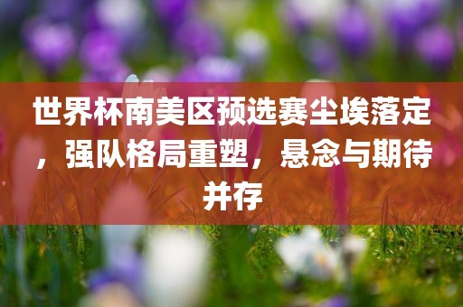 世界杯南美区预选赛尘埃落定，强队格局重塑，悬念与期待并存吉安市靖泰电力工程有限公司