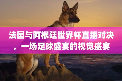 法国与阿根廷世界杯直播对决，一场足球盛宴的视觉盛宴
