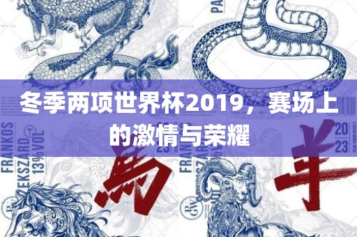 冬季两项世界杯2019，赛场上的激情与荣耀