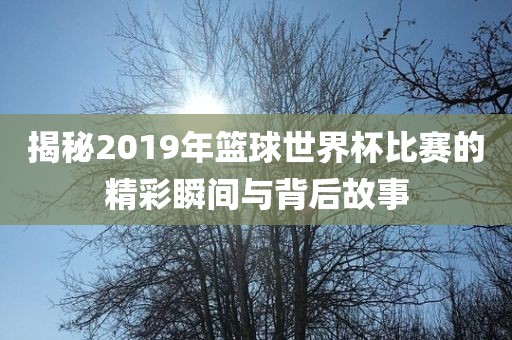 揭秘2019年篮球世界杯比赛的精彩瞬间与背后故事吉安市靖泰电力工程有限公司