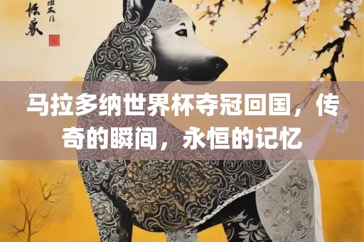 马拉多纳世界杯夺冠回国，传奇的瞬间，永恒的记忆