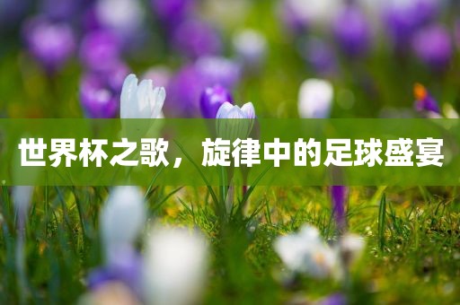 世界杯之歌，旋律中的足球盛宴吉安市靖泰电力工程有限公司