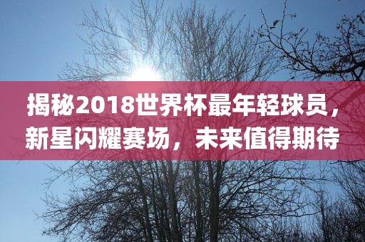 揭秘2018世界杯最年轻球员，新星闪耀赛场，未来值吉安市靖泰电力工程有限公司得期待