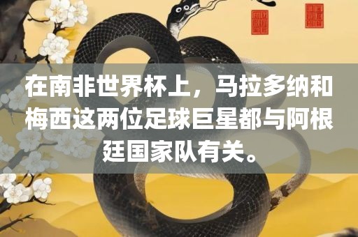在南非世界杯吉安市靖泰电力工程有限公司上，马拉多纳和梅西这两位足球巨星都与阿根廷国家队有关。