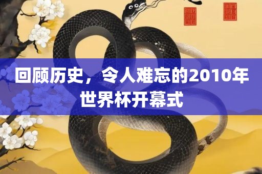 回顾历史，令人难忘的2010年世界杯开幕式吉安市靖泰电力工程有限公司