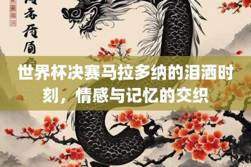世界杯决赛马拉多纳的泪洒时刻，情感与记忆的交织吉安市靖泰电力工程有限公司