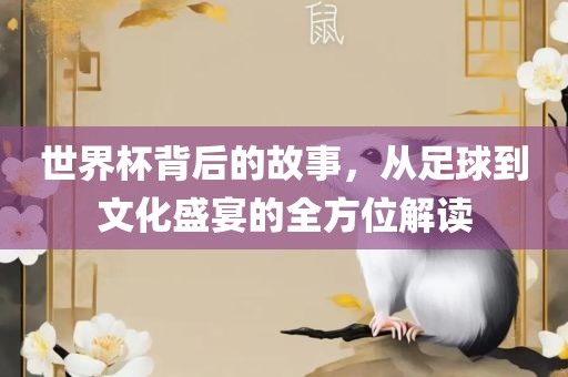 世界杯背后的故事，从足球到文化盛宴的全方位解读
