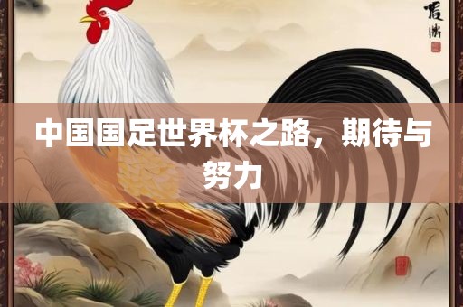 中国国足世界杯之路，期待与努力