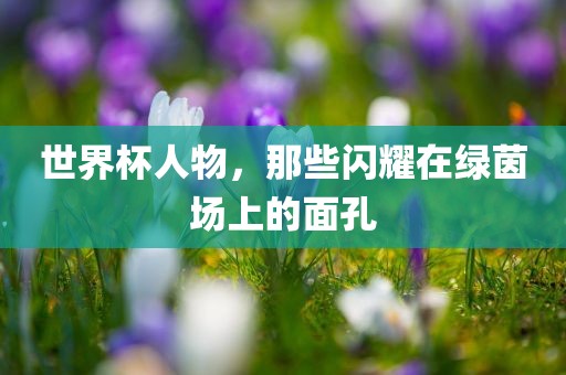 世界杯人物，那些闪耀在绿茵场上的面孔