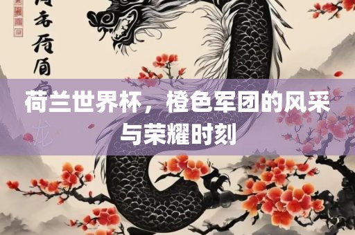 荷兰世界杯，橙色军团的风采与荣耀时刻