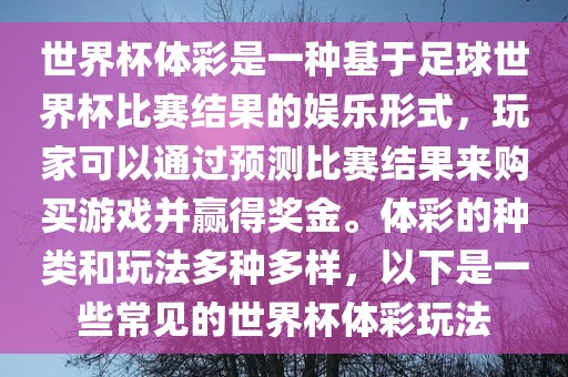 世界杯体彩是一种基于足球世界杯比赛结果的娱乐形式，玩家可以通过预测比赛结果来购买游戏并赢得奖金。体彩的种类和玩法多种多样，以下是一些常见的世界杯体彩玩法