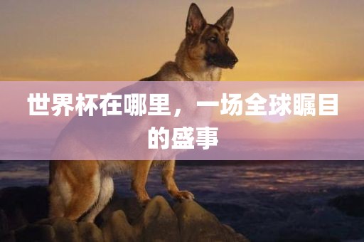 世界杯在哪里，一场全球瞩目的盛事