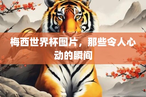 梅西世界杯图片，那些令人心动的瞬间