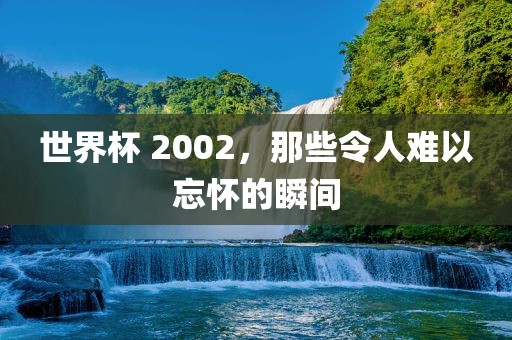 世界杯 2002，那些令人难以忘怀的瞬间