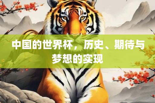 中国的世界杯，历史、期待与梦想的实现