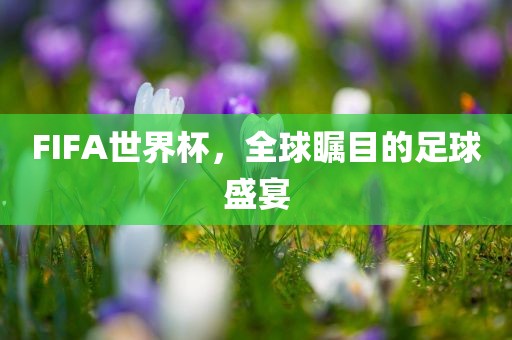 FIFA世界杯，全球瞩目的足球盛宴