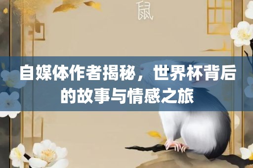 自媒体作者揭秘，世界杯背后的故事与情感之旅