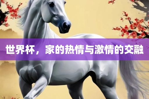 世界杯，家的热情与激情的交融