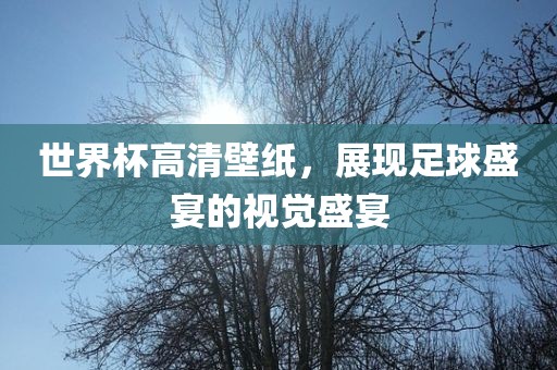 世界杯高清壁纸，展现足球盛宴的视觉盛宴