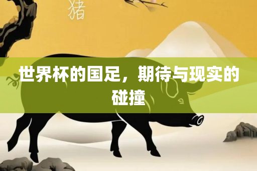 世界杯的国足，期待与现实的碰撞